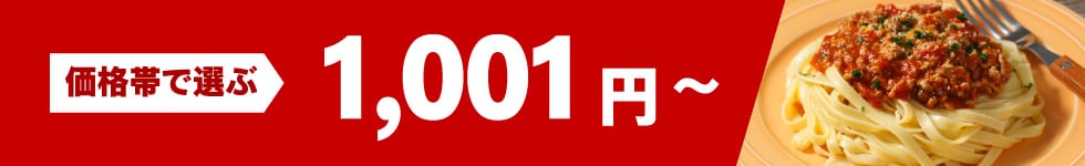 価格帯で選ぶ1,001円～