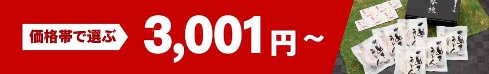 価格帯で選ぶ3,001円～