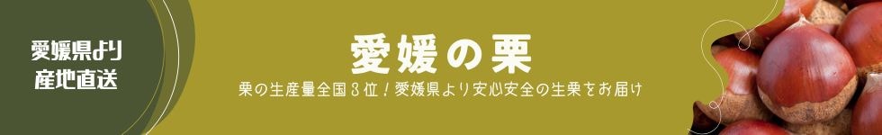 愛媛の栗