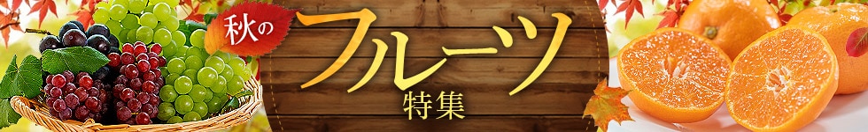 フルーツ特集