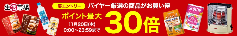 dsデー30倍