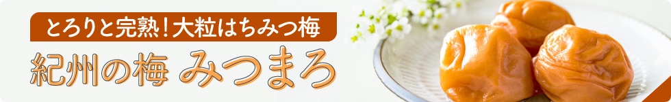 紀州の梅 みつまろ