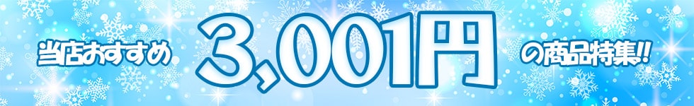 3001円以上_冬