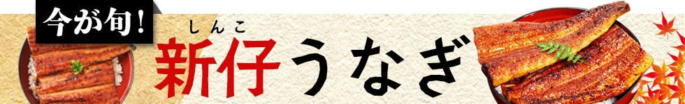 新仔