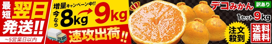 デコみかん9kg