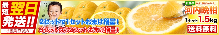 河内晩柑1.5kg