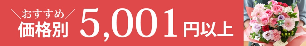 5001円以上