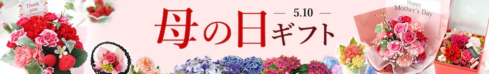 母の日特集