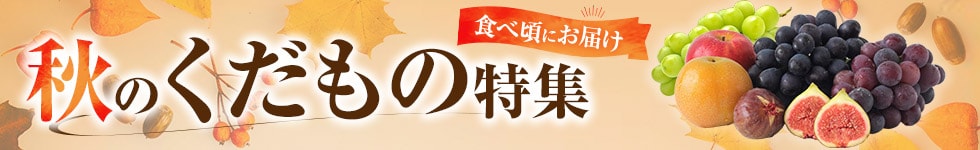 フルーツ特集