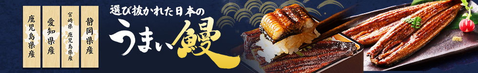 鰻LP