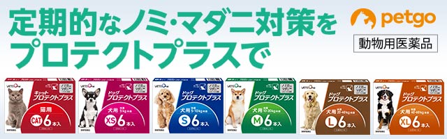 ベッツワンプロテクトプラス