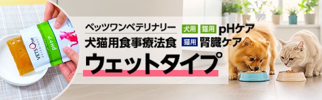 ベッツワンベテリナリーウェット