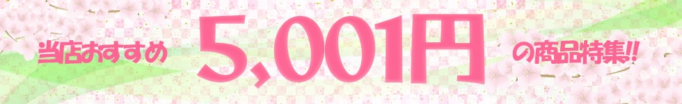 5001円以上バナー_春