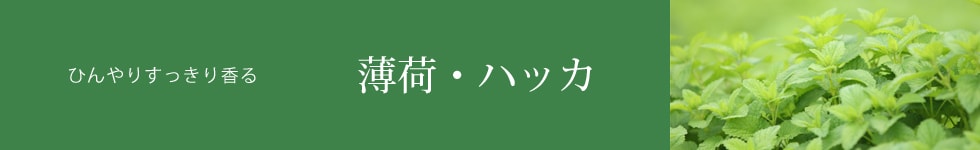 薄荷・ハッカ