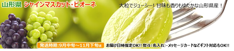 山形県産 ぶどう各種