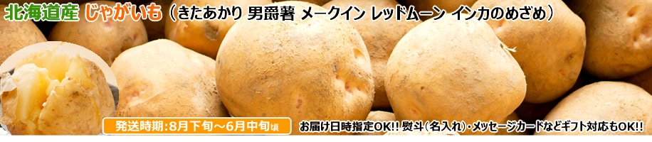 北海道産 じゃがいも