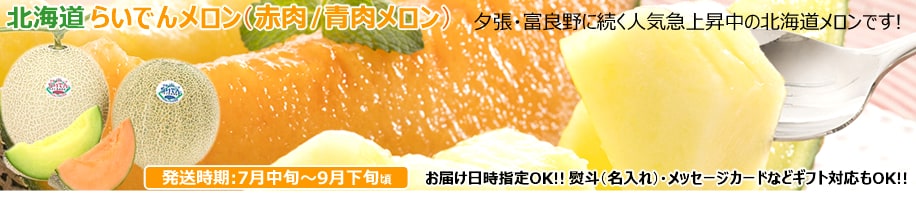 北海道産 らいでんメロン