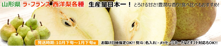 山形県産 西洋梨