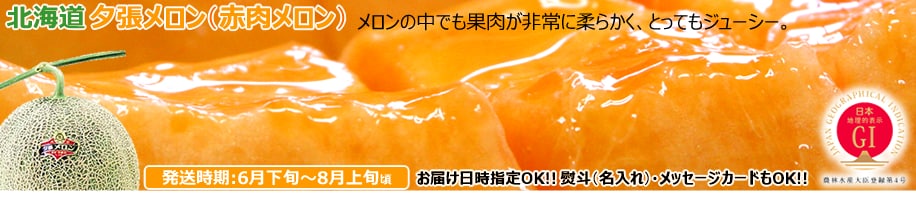北海道産 夕張メロン