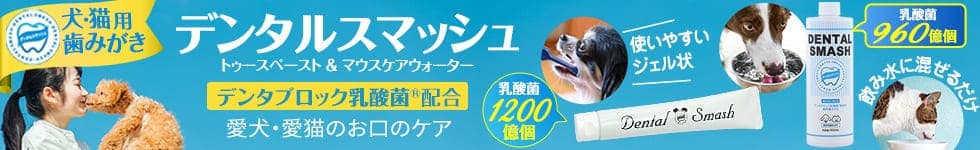 デンタルスマッシュ